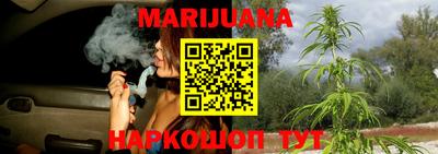 стафф Бийск