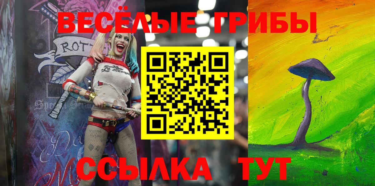 Псилоцибиновые грибы GOLDEN TEACHER Кандалакша